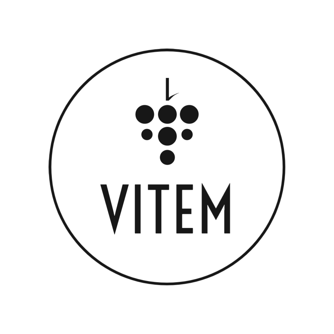 VITEM Foundation